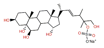 (22E)-24-Methyl-5a-cholest-22-en-3b,5,6b,15a,25,26-hexol 26-sulfate